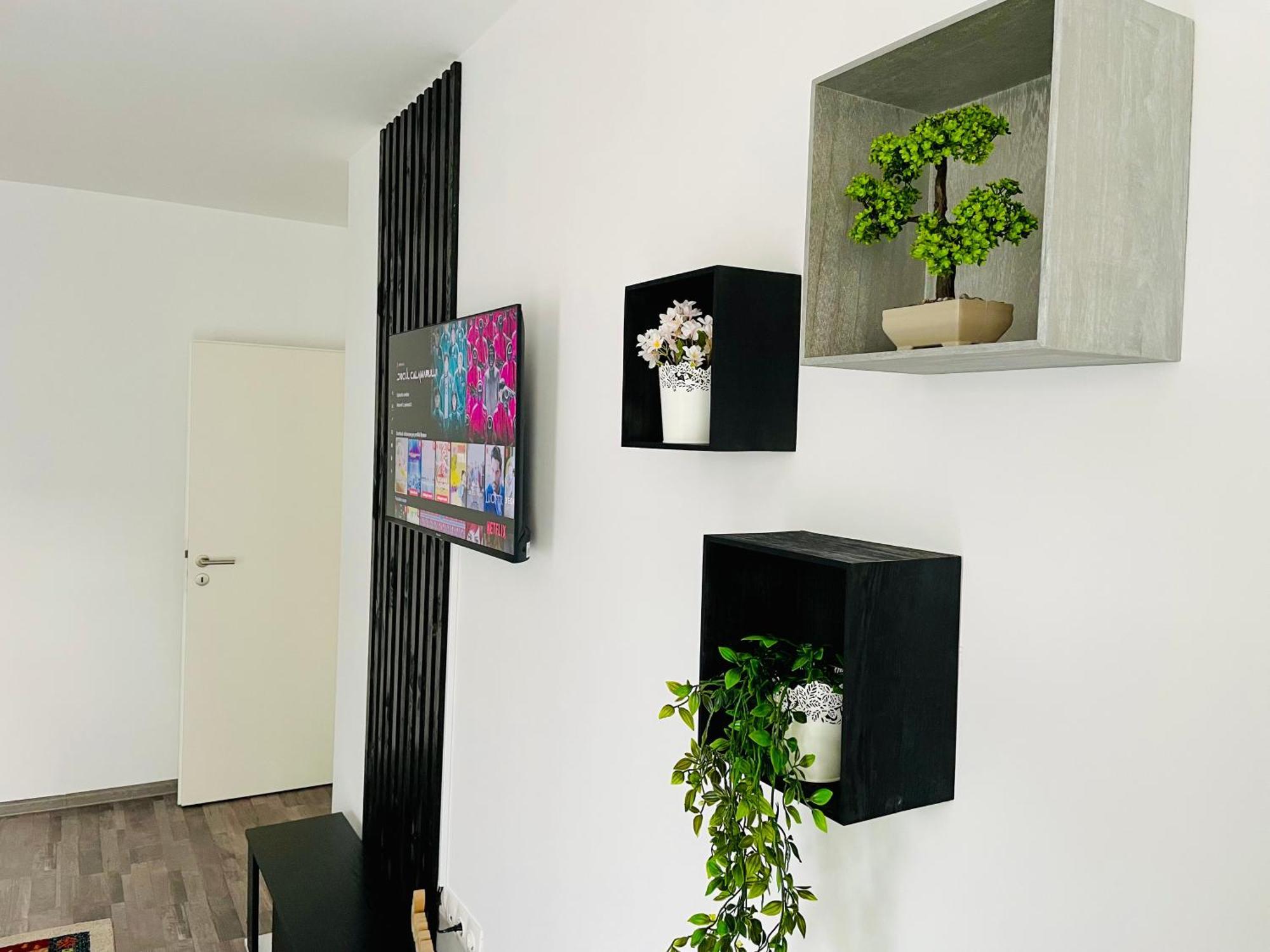 Montsee Brasov Apartment Luaran gambar