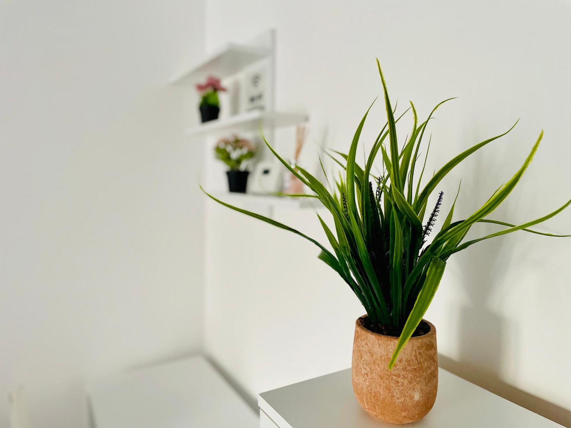Montsee Brasov Apartment Luaran gambar